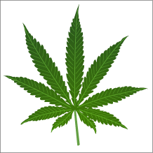 cannabis_leaf
